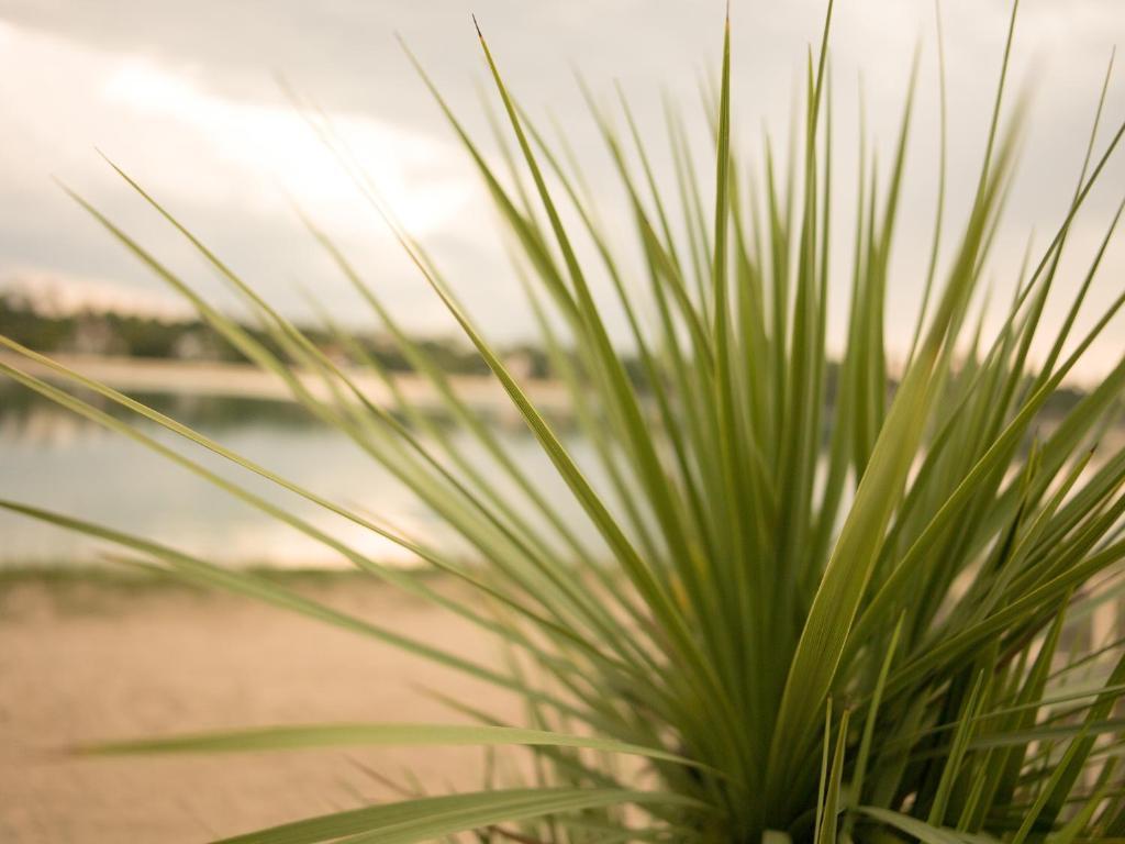 Hotel Le Pavillon Bleu 3*